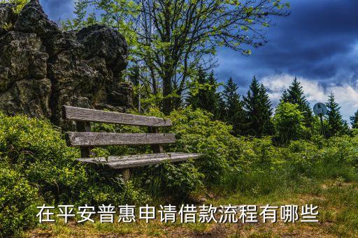 平安车主贷放款流程(车主贷放款平安流程图)-添财网