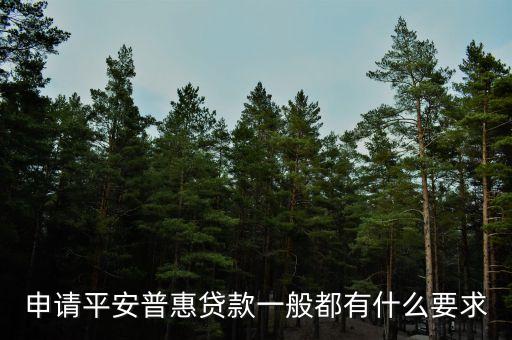 平安车主贷放款流程(车主贷放款平安流程图)-添财网