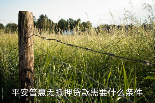 平安车主贷放款流程(车主贷放款平安流程图)-添财网