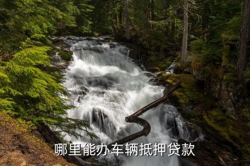 绍兴汽车抵押贷款不押车(绍兴车子抵押贷款)-添财网