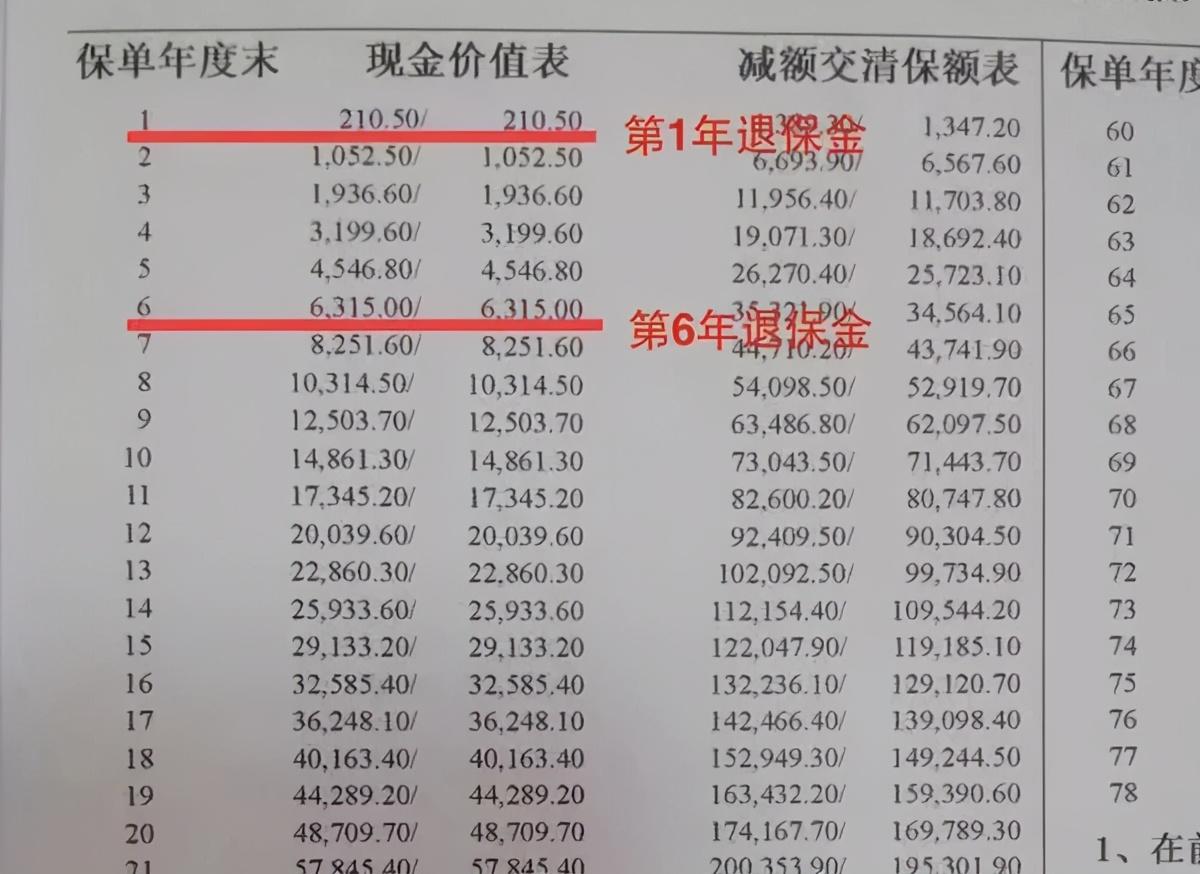 抵押车和保单贷款能同时吗(抵押车可以保险吗)-添财网