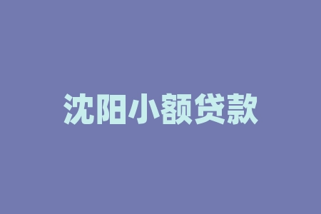 上海二手车抵押贷款公司(上海二手车市场贷款)-添财网