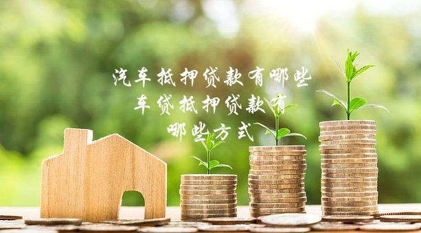 汽车抵押银行贷款利率一般是多少(抵押汽车贷款利息)-添财网