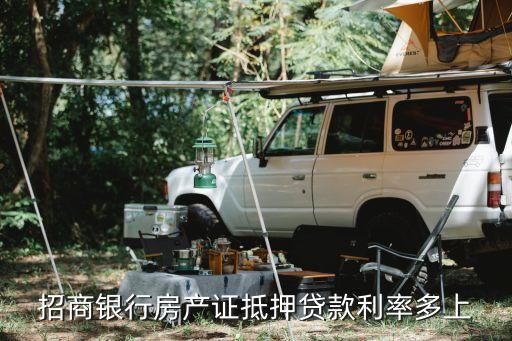 上海先息后本贷款抵押车多少利息(上海车子抵押贷款)-添财网