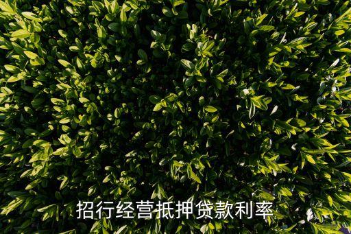 上海先息后本贷款抵押车多少利息(上海车子抵押贷款)-添财网