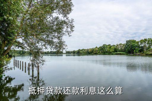 上海先息后本贷款抵押车多少利息(上海车子抵押贷款)-添财网