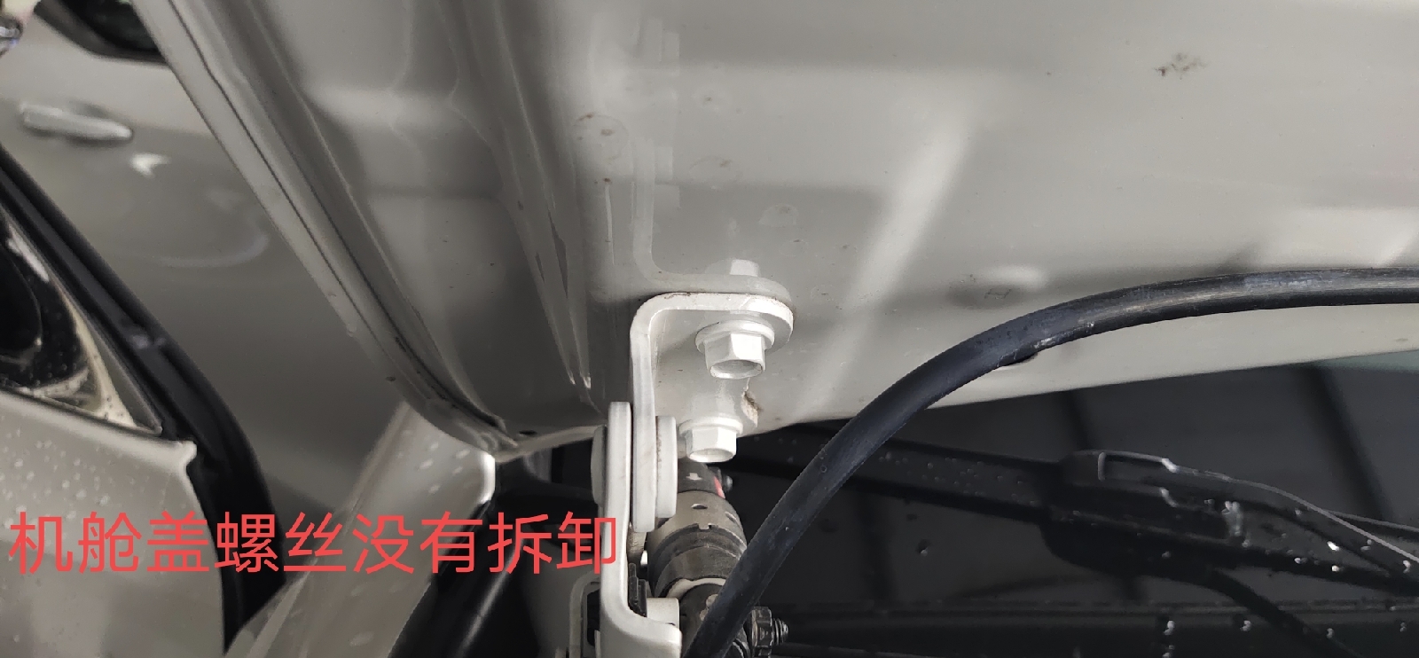 押车绿本贷款有多坑(用车贷款押绿本)-添财网