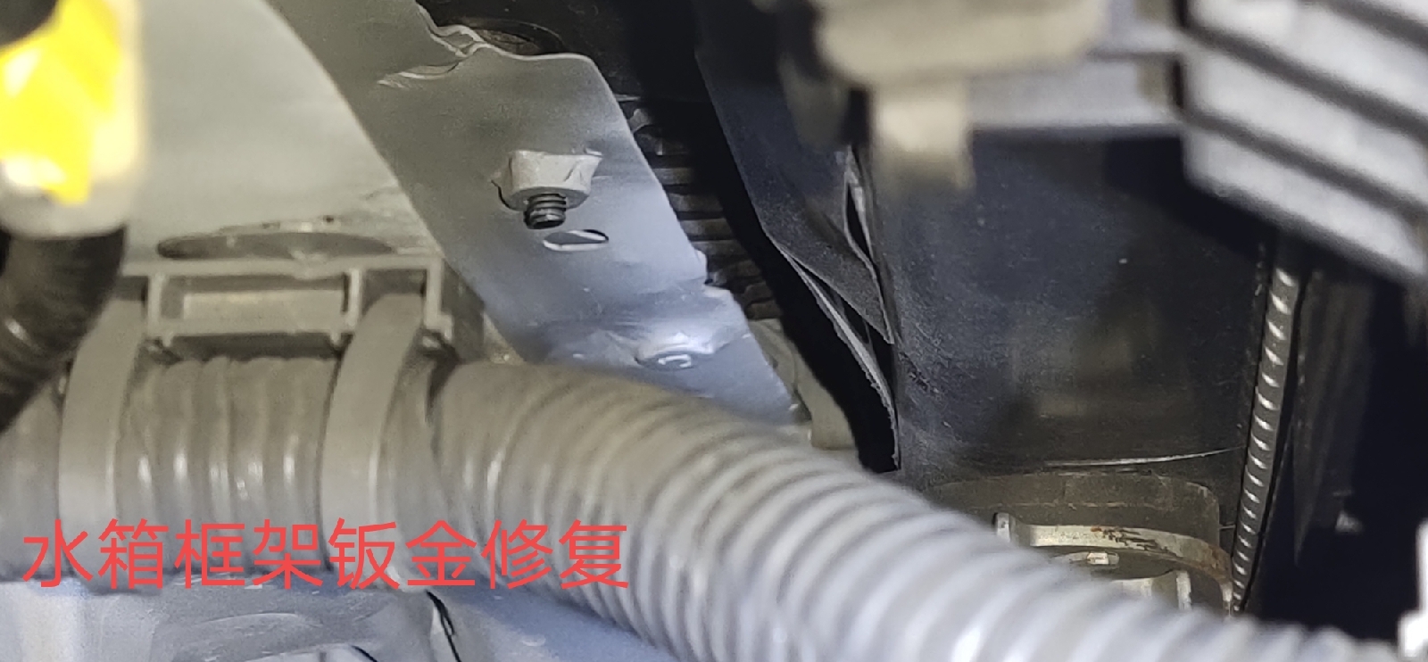 押车绿本贷款有多坑(用车贷款押绿本)-添财网