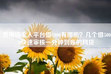 急用钱私人借钱5000无需审核(急需用钱私人借款)-添财网