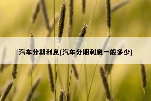 汽车抵押贷款利息一般是多少(抵押车子贷款利息)-添财网