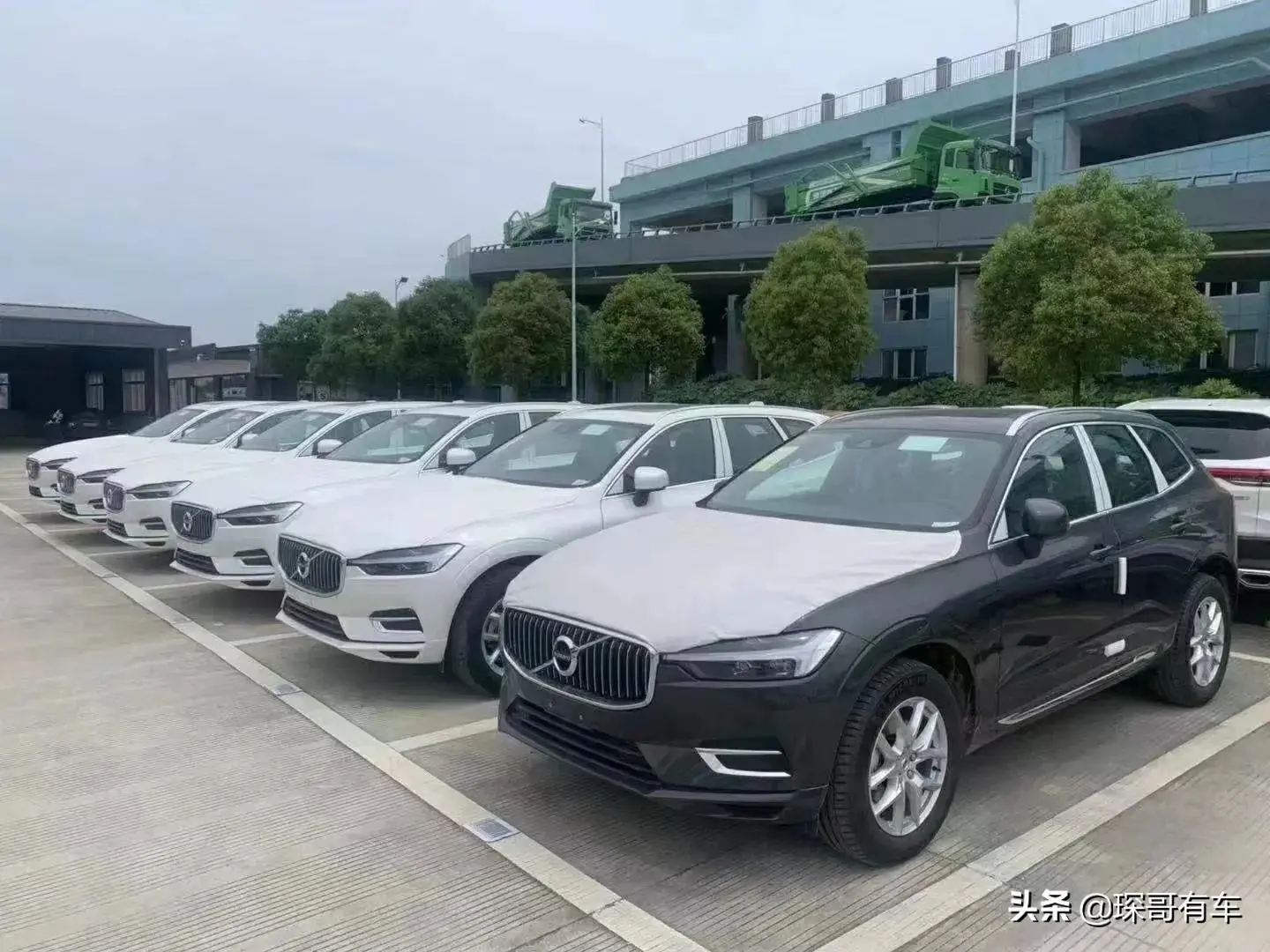 买车咨询(买车咨询服务费是什么意思)-添财网