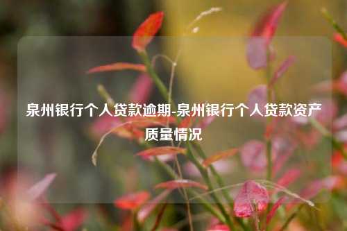 泉州银行个人贷款逾期-泉州银行个人贷款资产质量情况