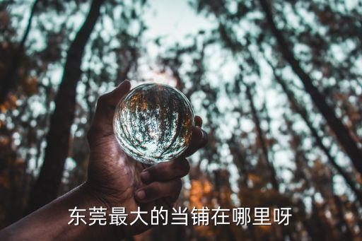 东莞最大的当铺在哪里呀