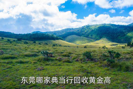 东莞哪家典当行回收黄金高