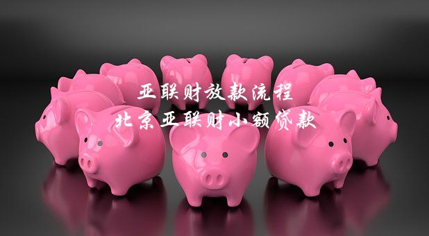 亚联财贷款公司(亚财联小额贷款公司)-添财网