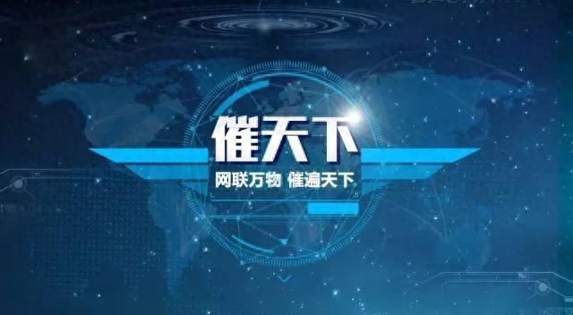 公司法人可以贷款吗