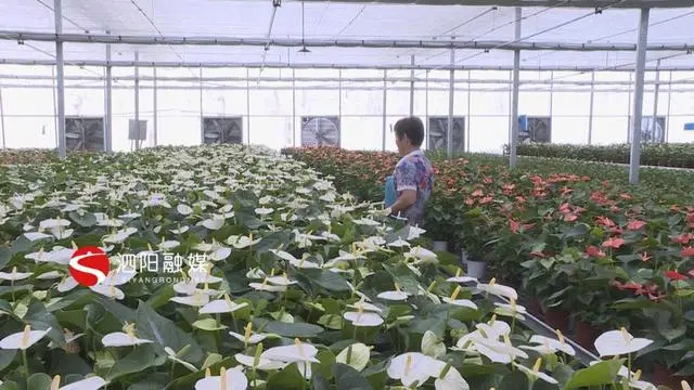 泗阳贷款公司(泗阳贷款电话号码)-添财网