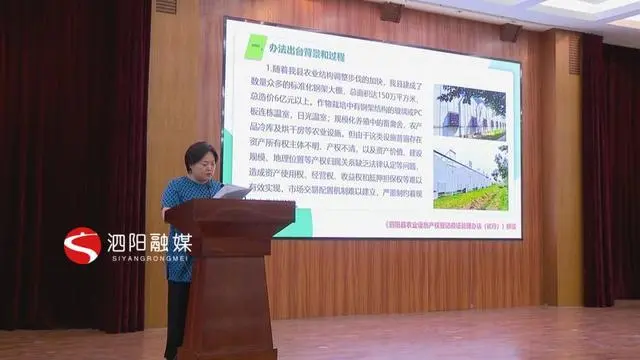 泗阳贷款公司(泗阳贷款电话号码)-添财网
