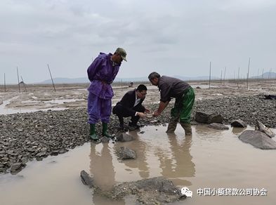 线下小额贷款公司(小额贷款线下公司合法吗)-添财网
