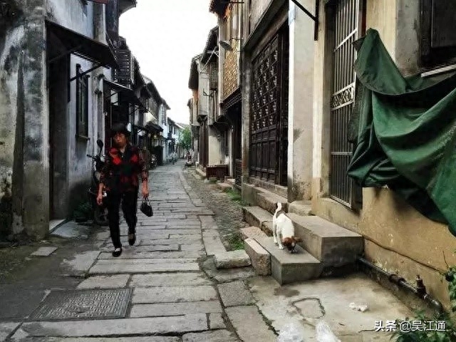 典当行的业务(典当行业务员工作内容)-添财网