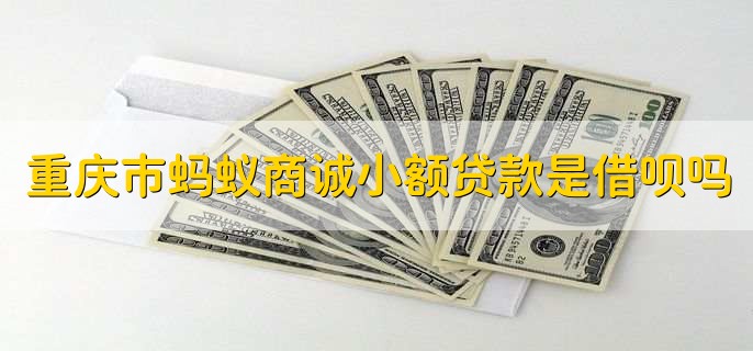 重庆蚂蚁商城小额贷款有限公司