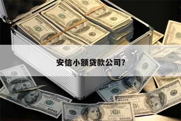 深圳泛华小额贷款有限公司