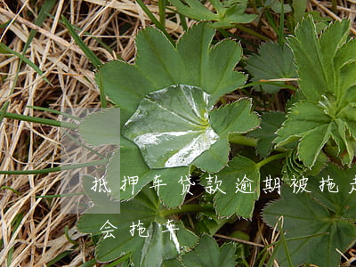 抵押车贷款逾期被拖走(抵押车贷款逾期多久会拖车)