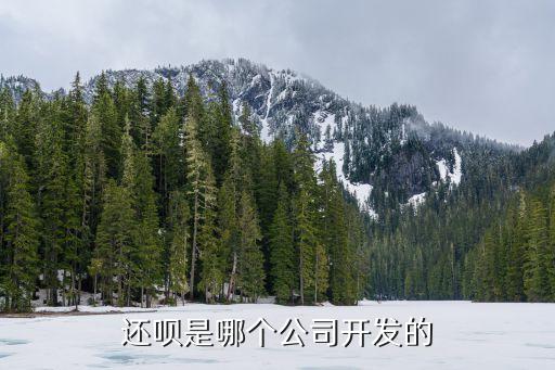 还呗是哪个公司开发的