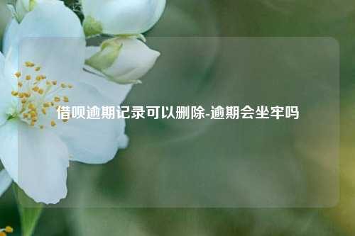 借呗逾期记录可以删除-逾期会坐牢吗