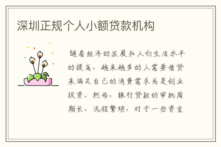 深圳正规个人小额贷款机构