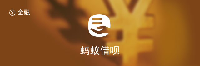 重庆蚂蚁商城小额贷款有限公司