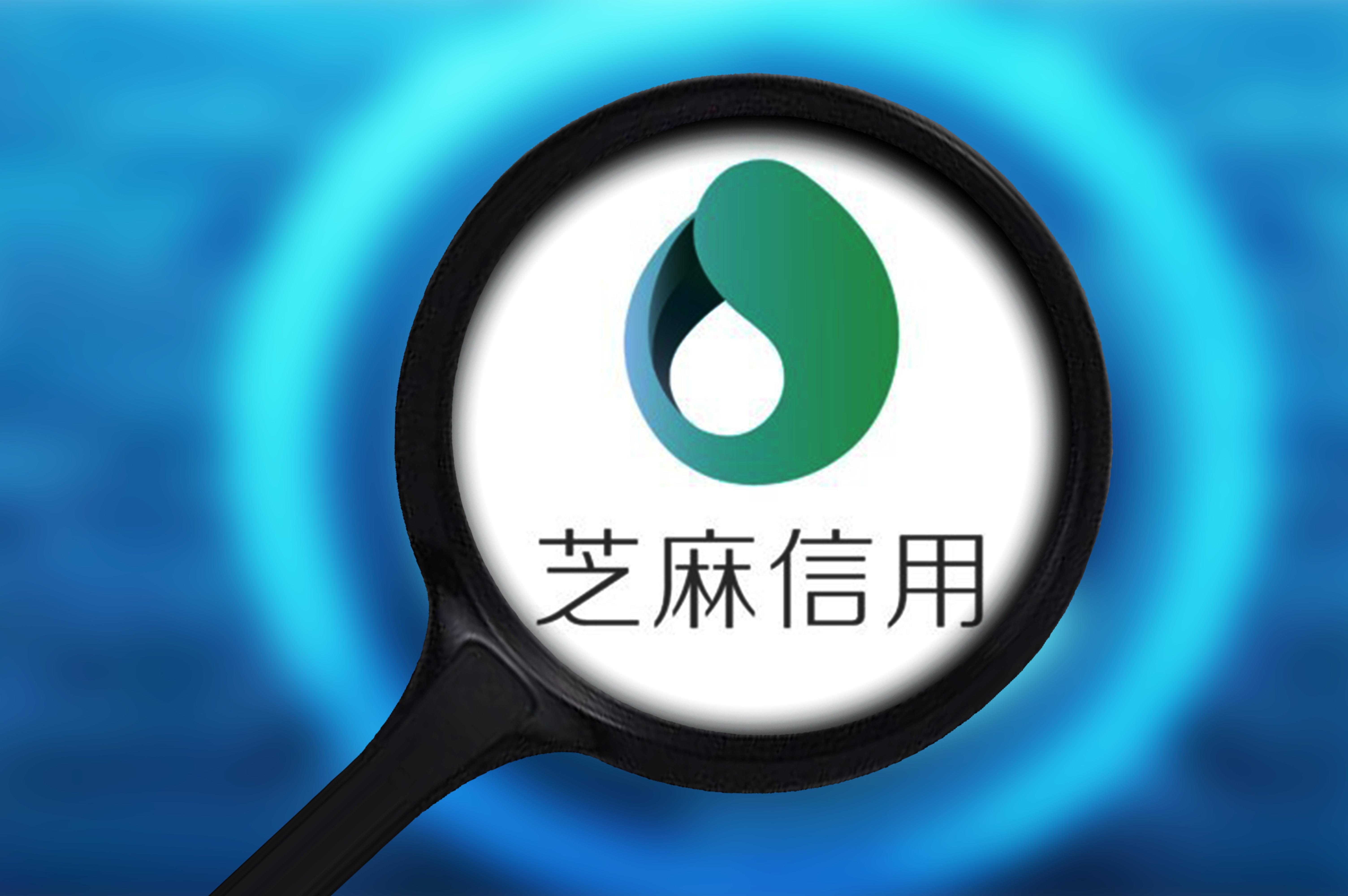 重庆蚂蚁商城小额贷款有限公司