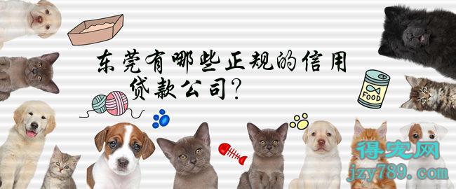 锦州贷款公司哪家好