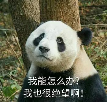 贷款担保公司是做什么的