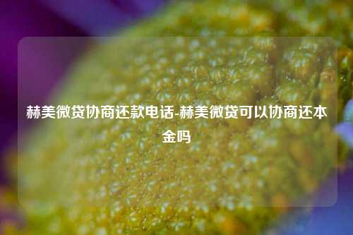 赫美微贷协商还款电话-赫美微贷可以协商还本金吗