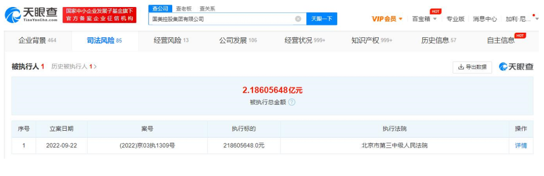 国美小额贷款有限公司