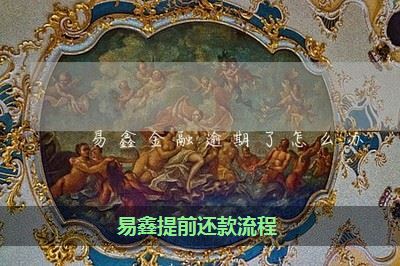 易鑫提前还款流程？易鑫提前还款怎么减免？[图](2)