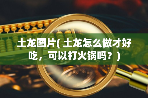土龙图片( 土龙怎么做才好吃，可以打火锅吗？)