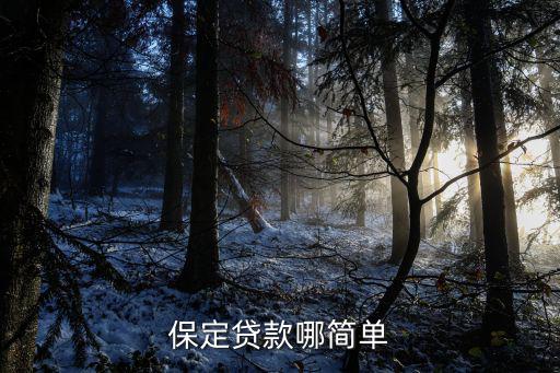 保定贷款哪简单