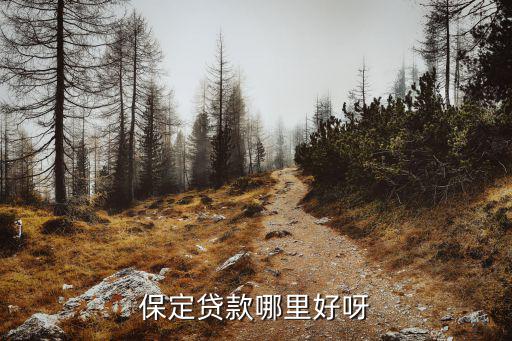 保定贷款哪里好呀