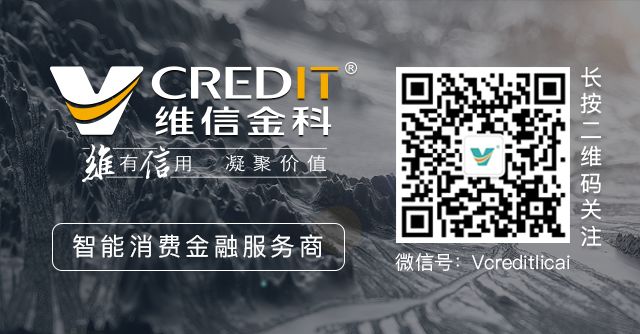 维仕担保有限公司是哪家贷款