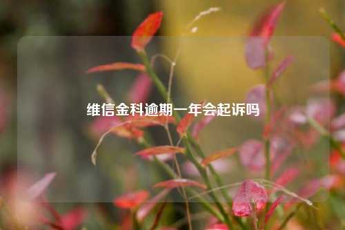 维信金科逾期一年会起诉吗