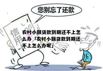 农村小额贷款到期还不上怎么办「农村小额贷款到期还不上怎么办呢」