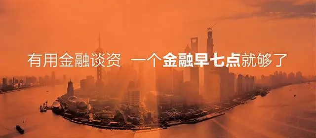 上海盛大小额贷款股份有限公司