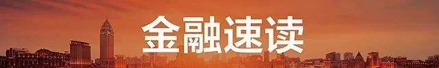 上海盛大小额贷款股份有限公司