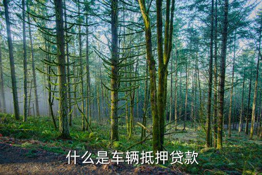  什么是车辆抵押贷款