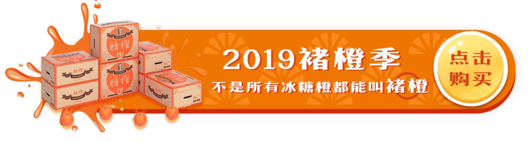 车辆抵押贷款公司
