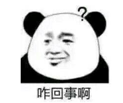 车辆抵押贷款公司