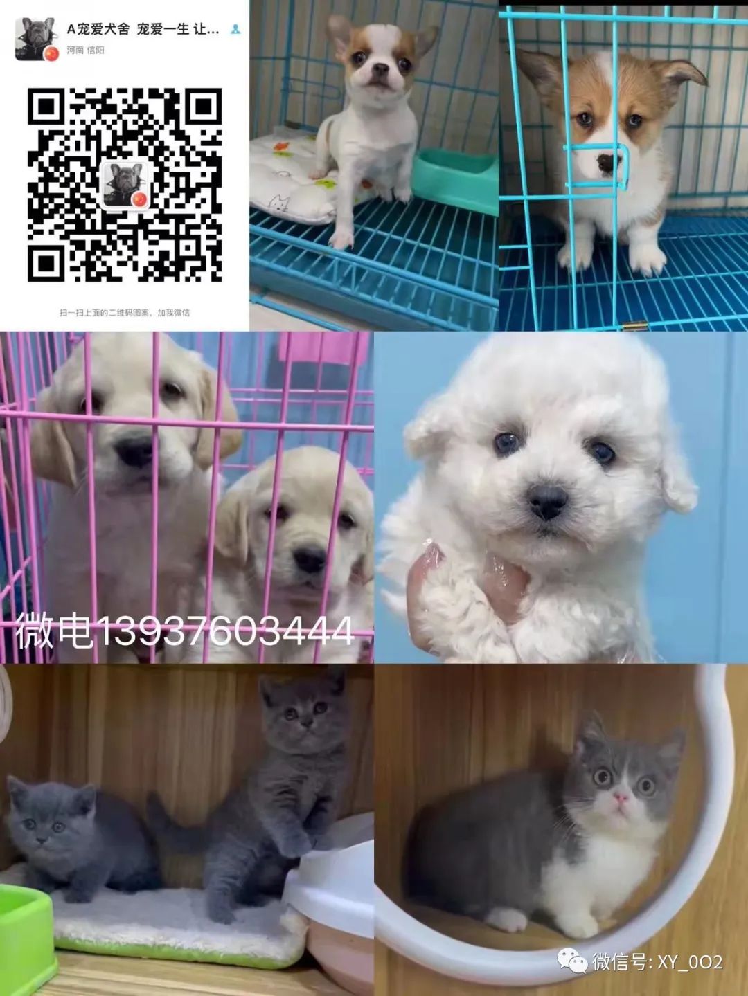 24小时上门抵押回收典当手机