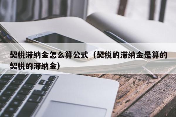滞纳金什么意思